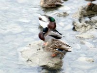 photos 2000-200902207